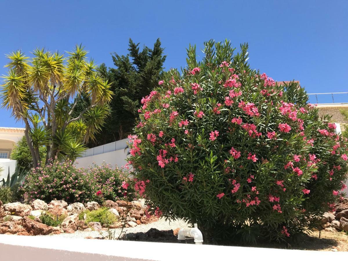 Corniche, Privée, 4 Suites, Vue Mer, Piscine Au Sel, Chauffée Et Couverte Villa *